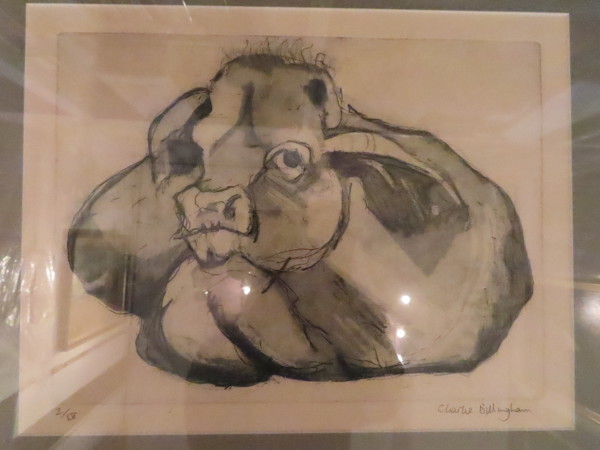 FDA-E.3219-2023-A image FDA-E.3219-2023-A