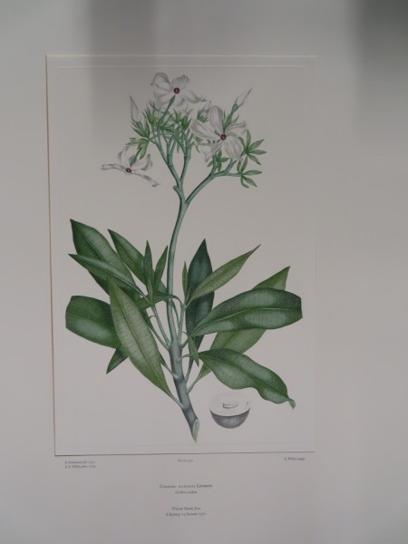 FDA-E.2916_17_14-2016 image FDA-E.2916_17_14-2016