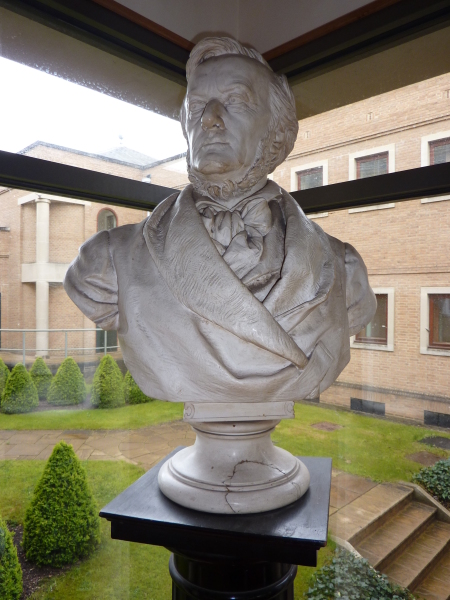 FDA-A.335-2013 image FDA-A.335-2013