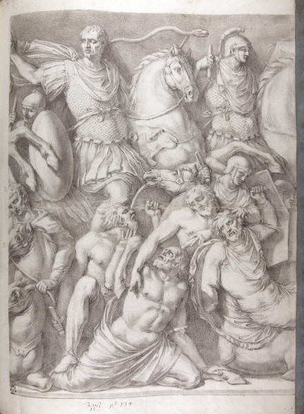 ECL-Bm.12_134-2013 image ECL-Bm.12_134-2013