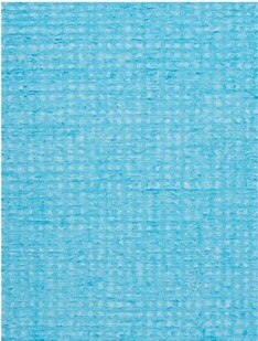 FDA-P.605-2024 image FDA-P.605-2024