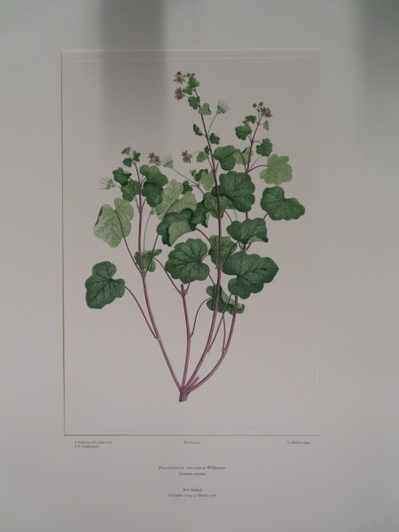 image FDA-E.2916_20_25-2016