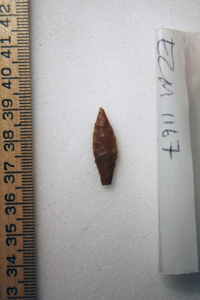 ECM.1167-2010-A image ECM.1167-2010-A