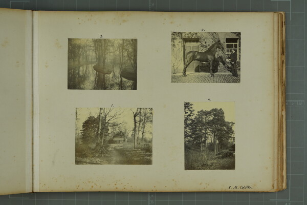 PA-A.81_51-2024 image PA-A.81_51-2024