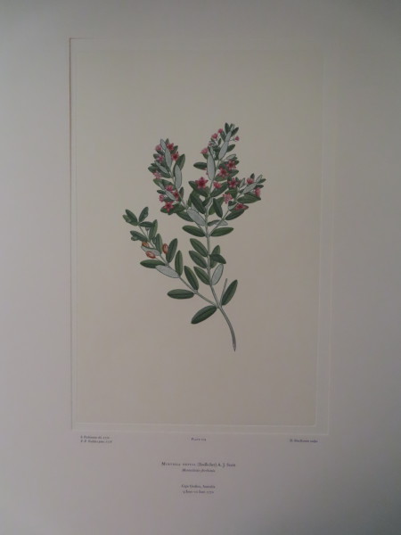 image FDA-E.2916_6_15-2016-A