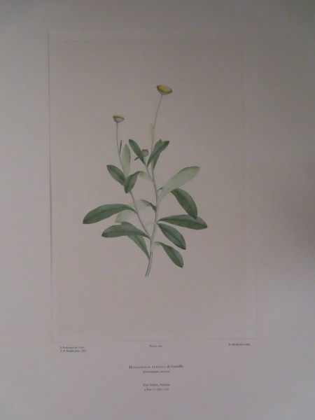 image FDA-E.2916_8_15-2016-A