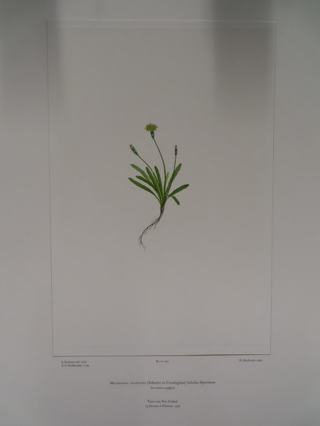 image FDA-E.2916_24_5-2016-A