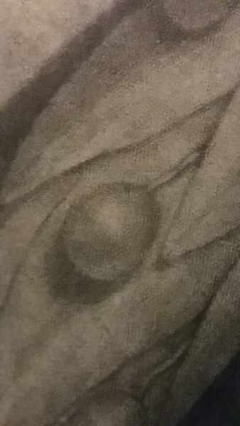 FDA-E.580-2013-B image FDA-E.580-2013-B