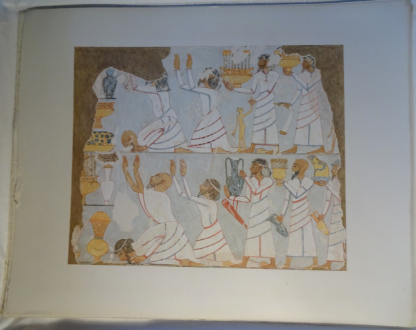 FDA-E.3055_43-2018 image FDA-E.3055_43-2018