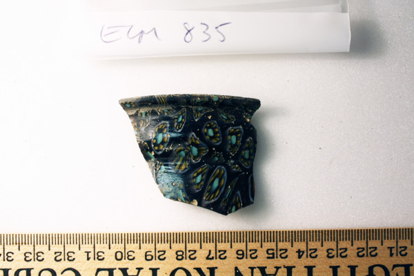 ECM.835-2010-A image ECM.835-2010-A