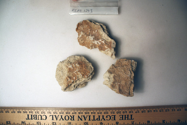 ECM.1293-2010-A image ECM.1293-2010-A