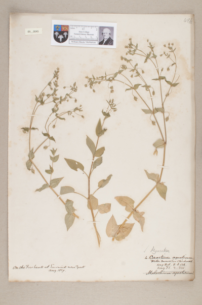 NHM_HH_9.45-2010 image NHM_HH_9.45-2010