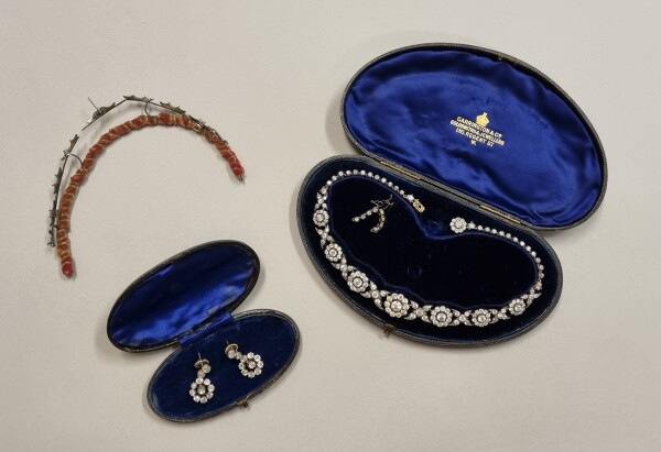 FDA-A.2495-2024-M image FDA-A.2495-2024-M