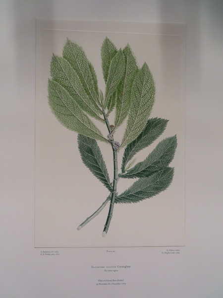 image FDA-E.2916_35_7-2016