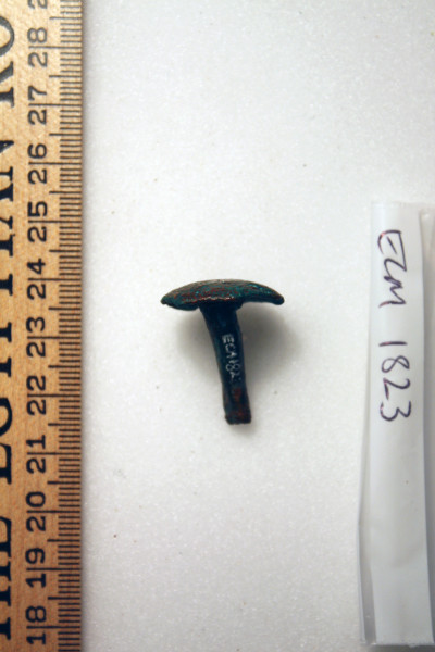 ECM.1823-2010-A image ECM.1823-2010-A