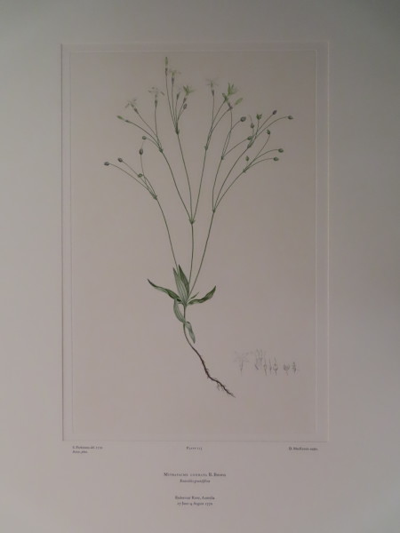 image FDA-E.2916_10_16-2016-A