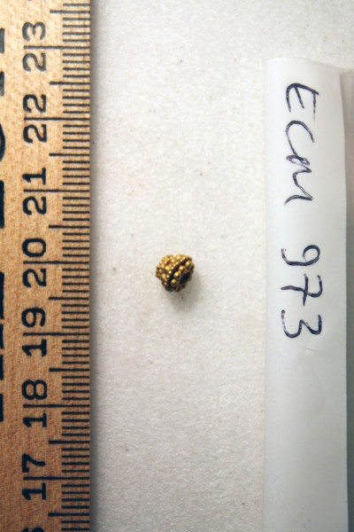 ECM.973-2010-A image ECM.973-2010-A