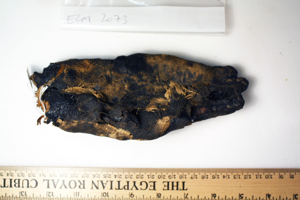 ECM.2073-2010-B image ECM.2073-2010-B