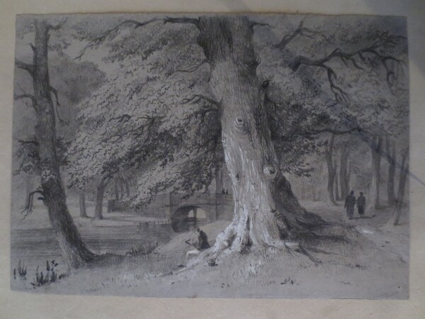 FDA-V.8-2016-T image FDA-V.8-2016-T