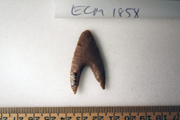 ECM.1858-2010-B image ECM.1858-2010-B