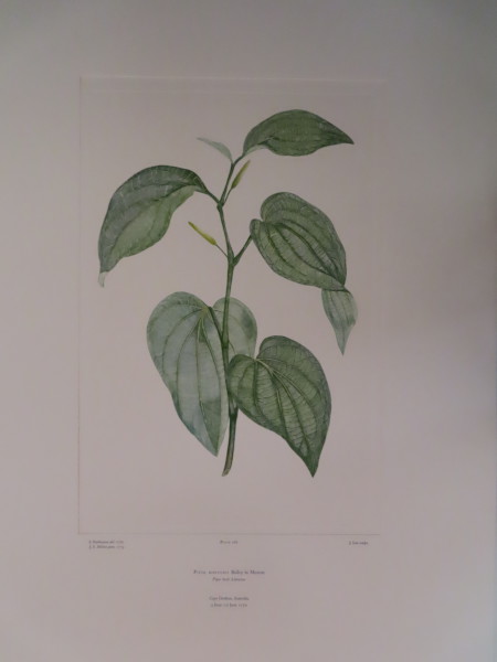 image FDA-E.2916_12_22-2016-A