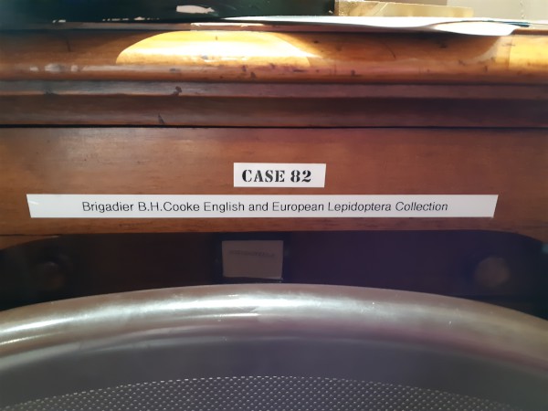 image FDA-A.2173_3-2020-A