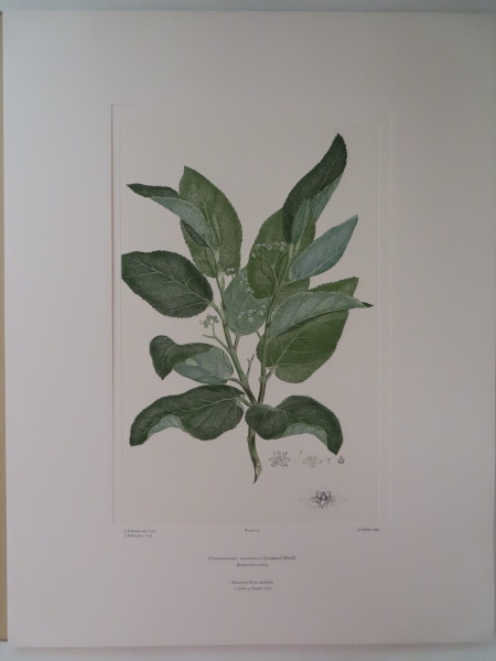 FDA-E.2916_2_6-2016 image FDA-E.2916_2_6-2016