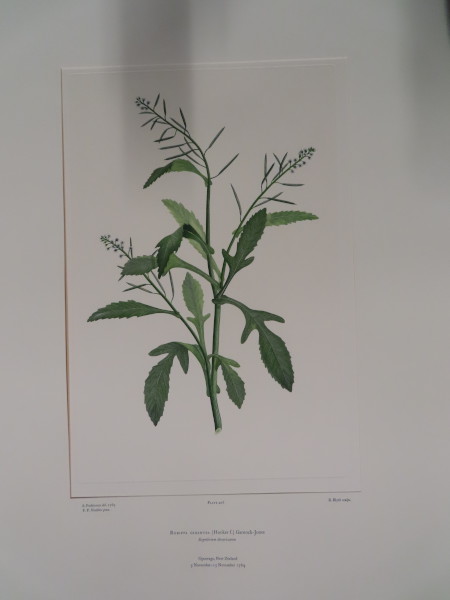 image FDA-E.2916_20_8-2016-A