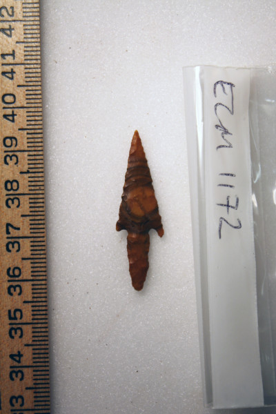 ECM.1172-2010-A image ECM.1172-2010-A