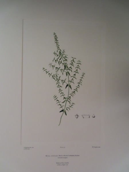 FDA-E.2916_6_20-2016 image FDA-E.2916_6_20-2016