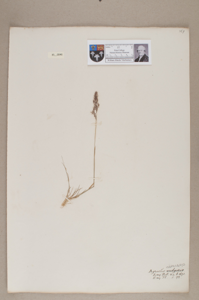 NHM_HH_35.46-2010 image NHM_HH_35.46-2010