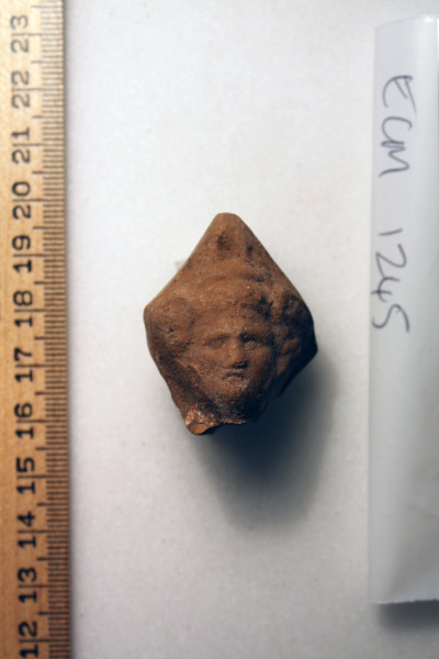 ECM.1245-2010-A image ECM.1245-2010-A