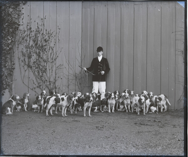 PA-N.1073-2024 image PA-N.1073-2024