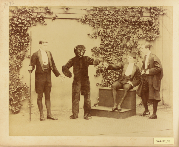 PA-A.87_76-2013 image PA-A.87_76-2013