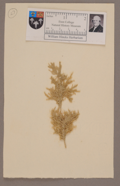 NHM_HH_1.27-2010 image NHM_HH_1.27-2010