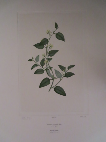 image FDA-E.2916_8_25-2016-A