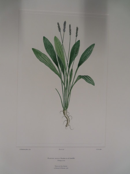 image FDA-E.2916_25_15-2016-A