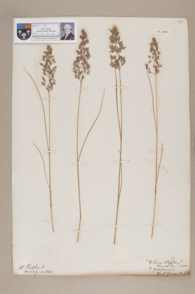 NHM_HH_37.10-2010 image NHM_HH_37.10-2010