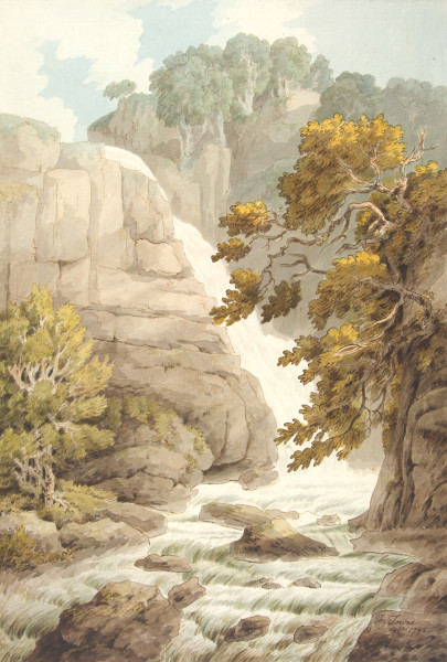 FDA-D.505-2010 image FDA-D.505-2010