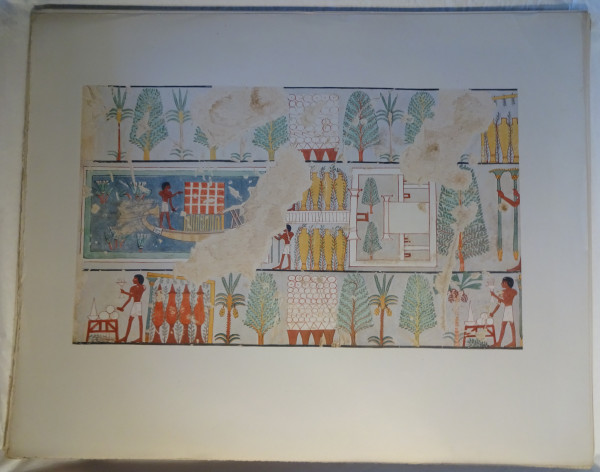 FDA-E.3055_54-2018 image FDA-E.3055_54-2018