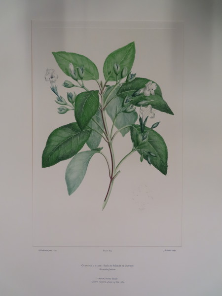 FDA-E.2916_30_9-2016-A image FDA-E.2916_30_9-2016-A