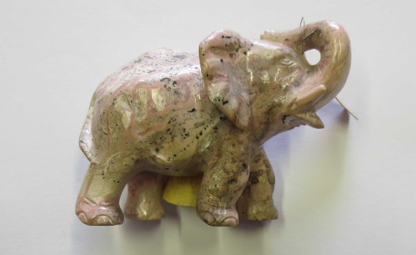 NHM-EE.26-2015 image NHM-EE.26-2015