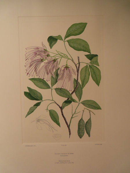 image FDA-E.2916_28_5-2016