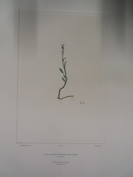 FDA-E.2916_33_11-2016 image FDA-E.2916_33_11-2016