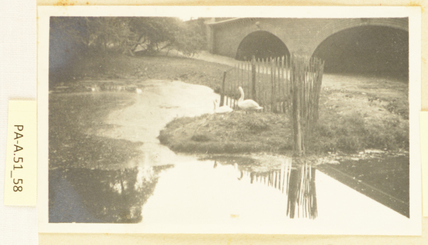 PA-A.51_58-2013 image PA-A.51_58-2013