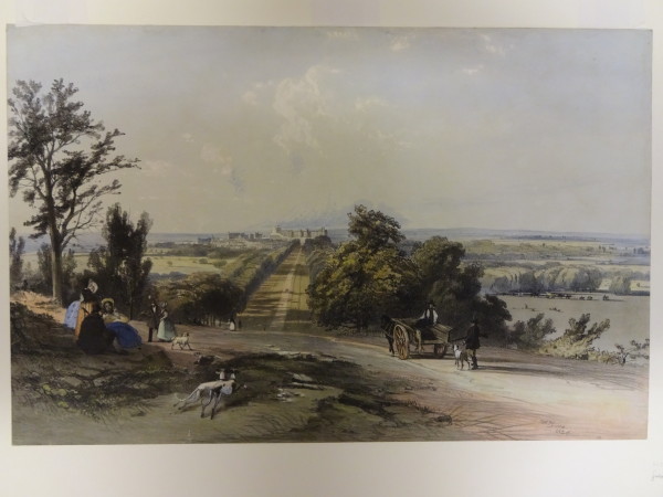 FDA-E.2784-2016 image FDA-E.2784-2016