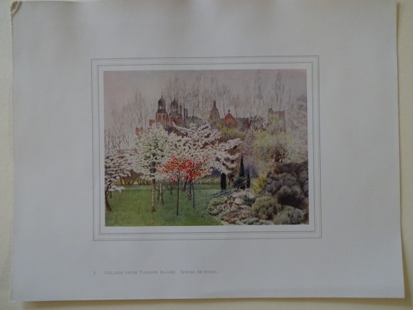 FDA-E.2833_3-2016 image FDA-E.2833_3-2016