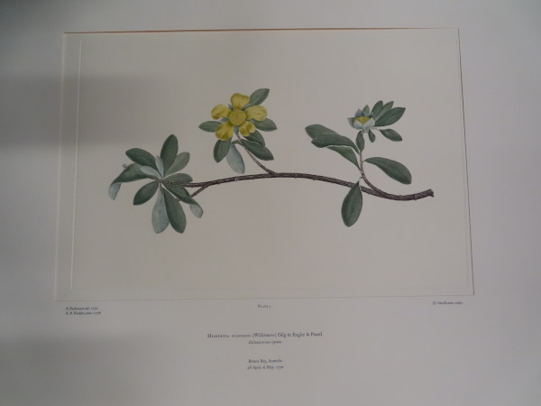 image FDA-E.2916_1_6-2016-A