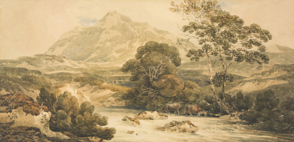 FDA-D.370-2010 image FDA-D.370-2010