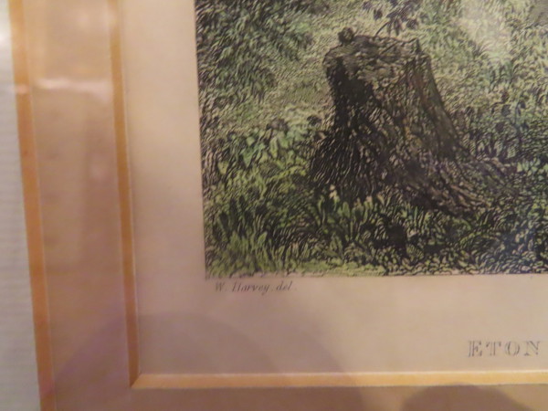 FDA-E.3239-2023-B image FDA-E.3239-2023-B